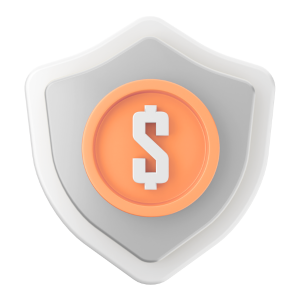 safe and secure payments